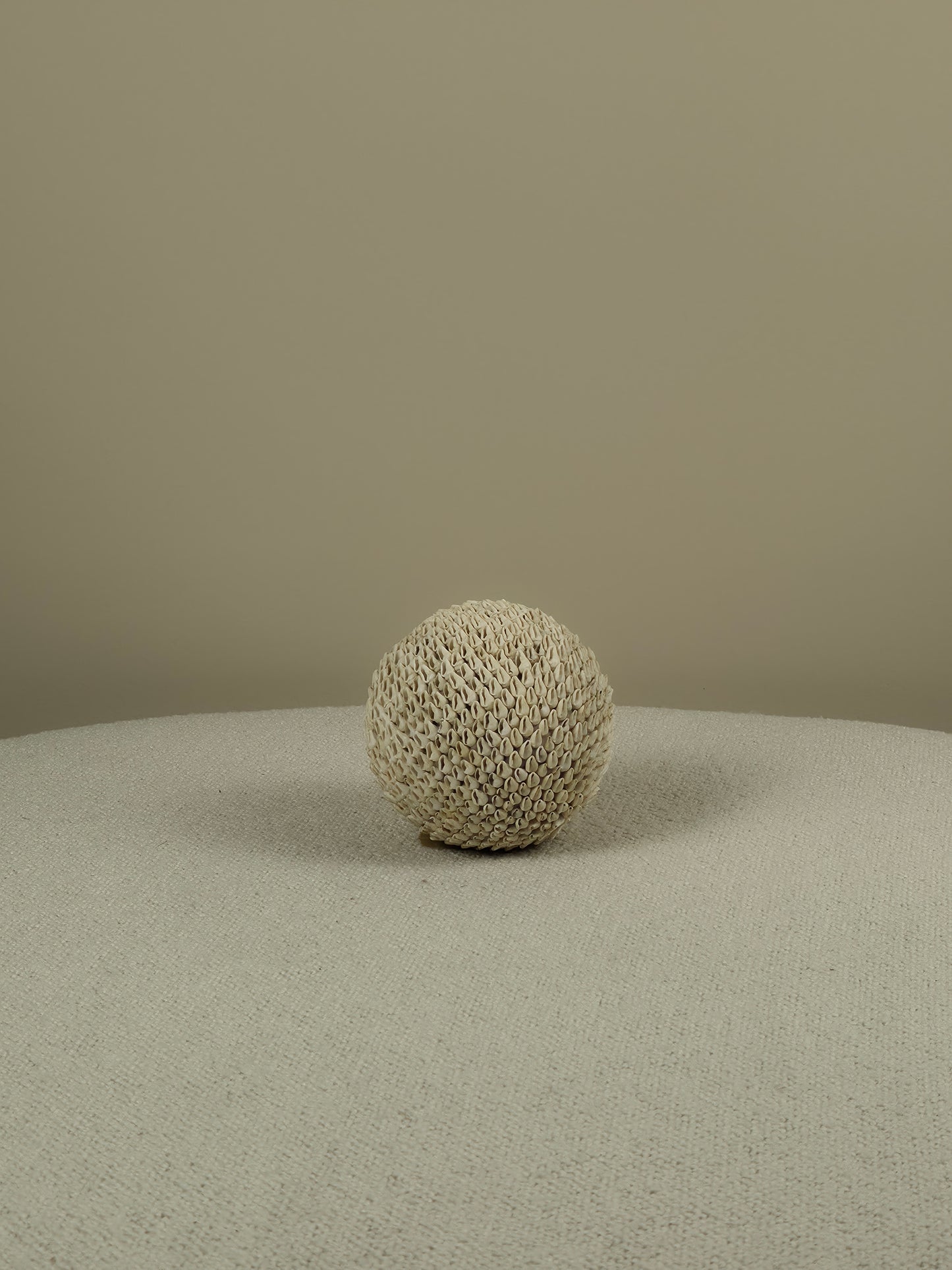Decoratieve Schelpen Bal - Aiden