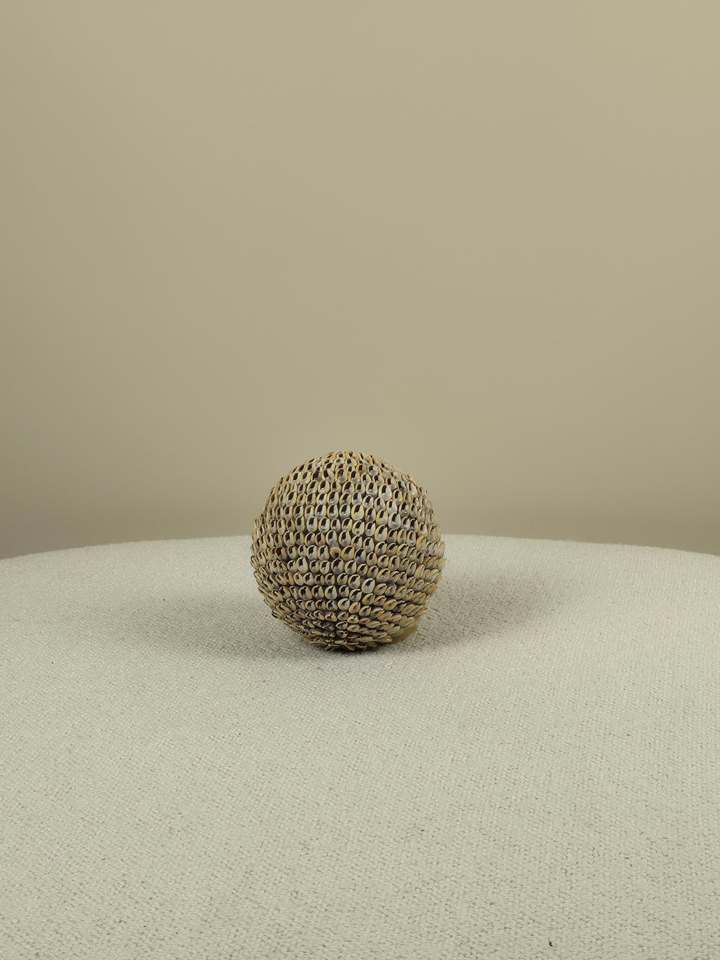 Decoratieve Schelpen Bal - Lucas