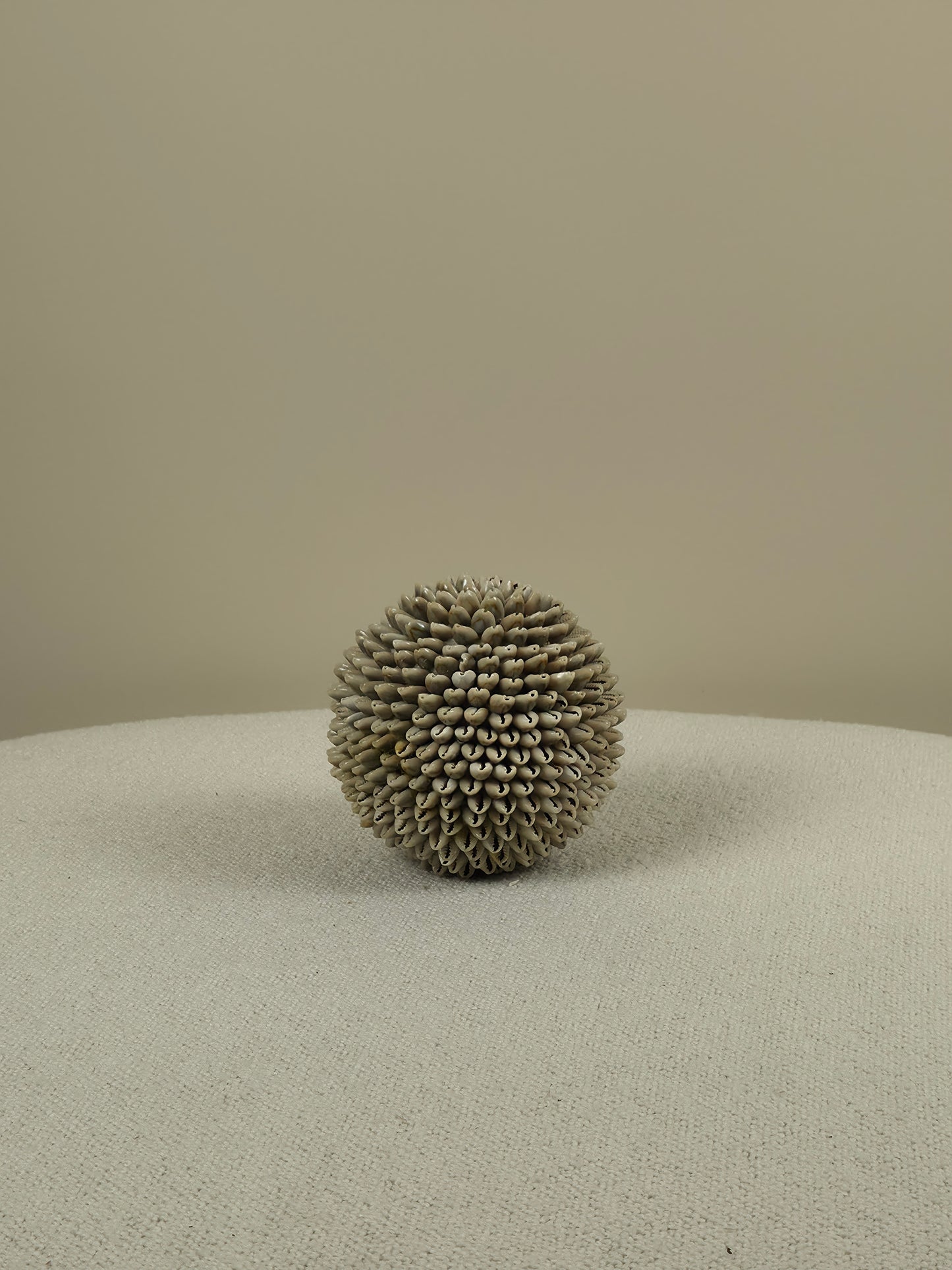Decoratieve Schelpen Bal - Mae