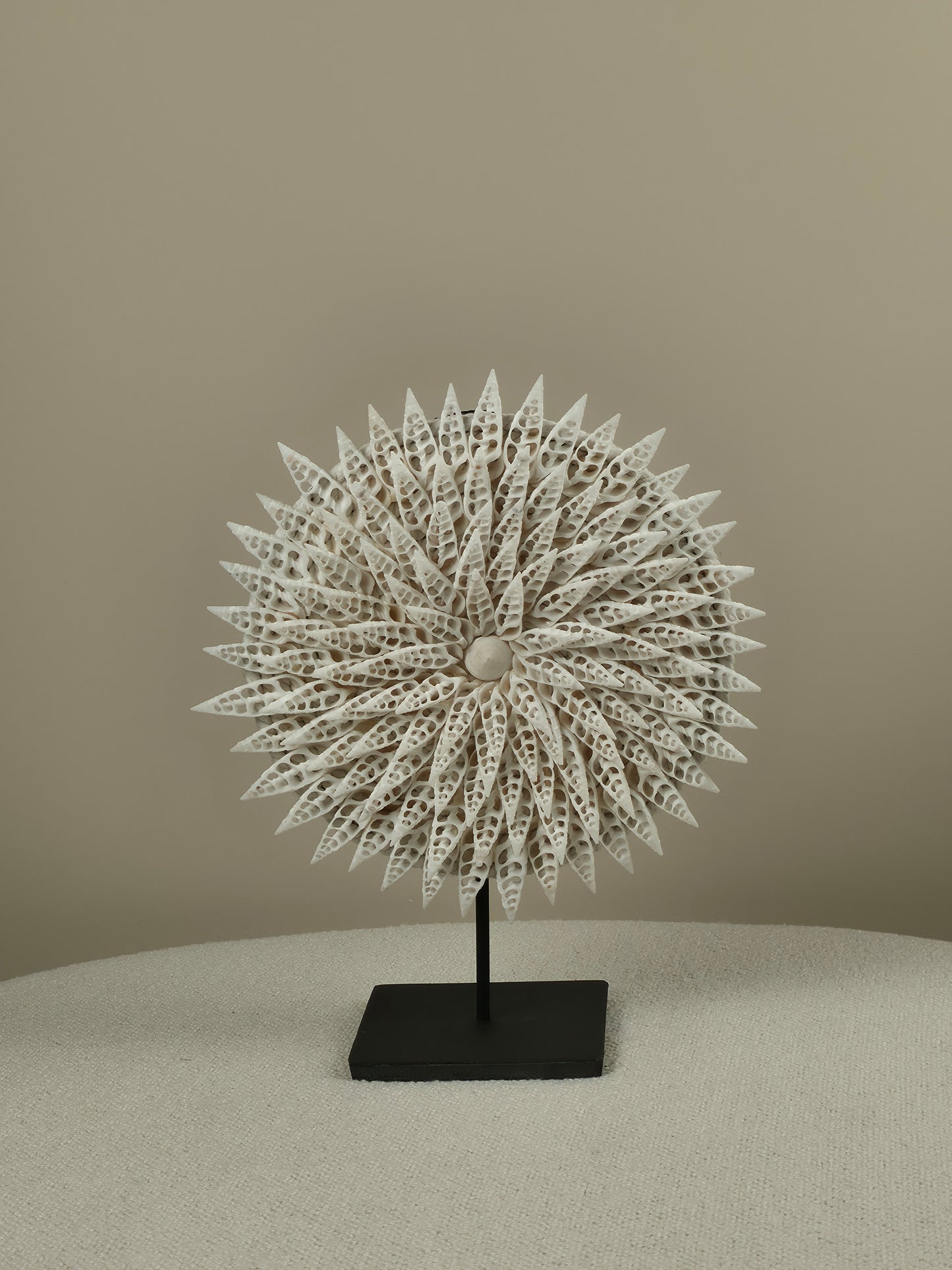 Schelpen Decoratie op Standaard - Zara