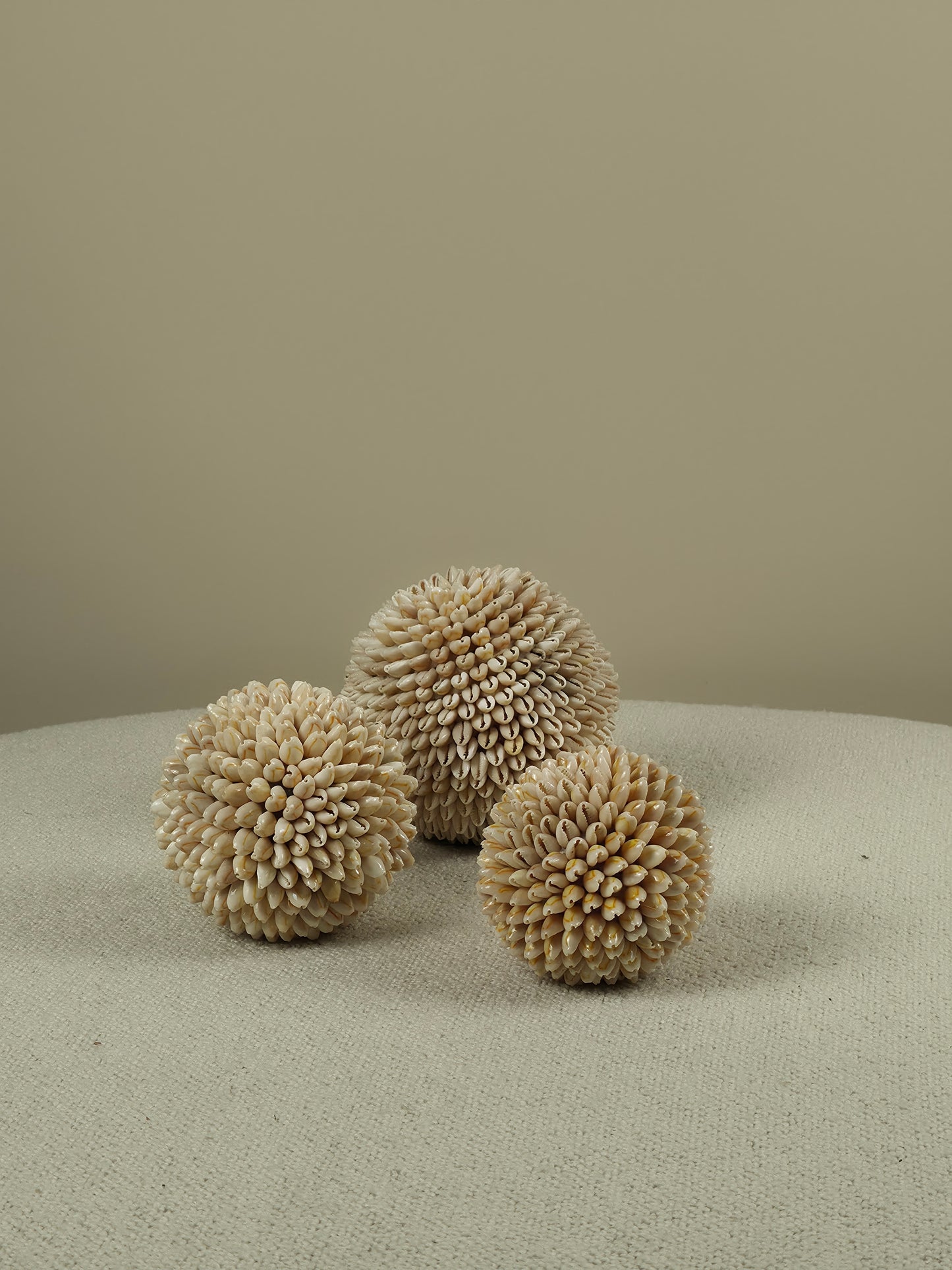 Decoratieve Schelpen Bal - Cindy