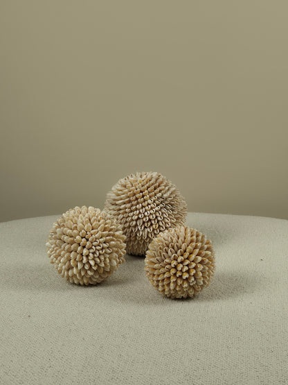 Decoratieve Schelpen Bal - Cindy