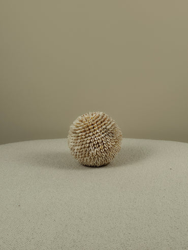 Decoratieve Schelpen Bal - Cindy