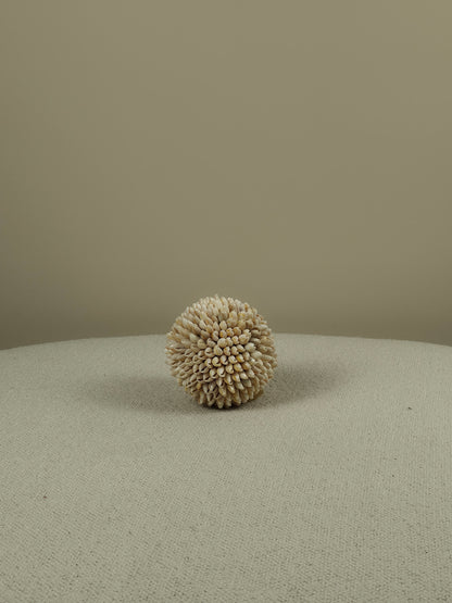 Decoratieve Schelpen Bal - Cindy