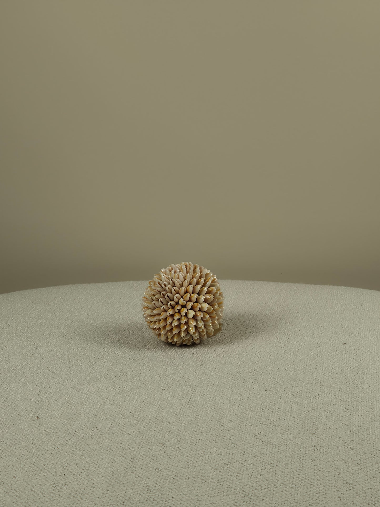 Decoratieve Schelpen Bal - Cindy