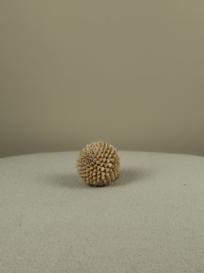 Decoratieve Schelpen Bal - Cindy