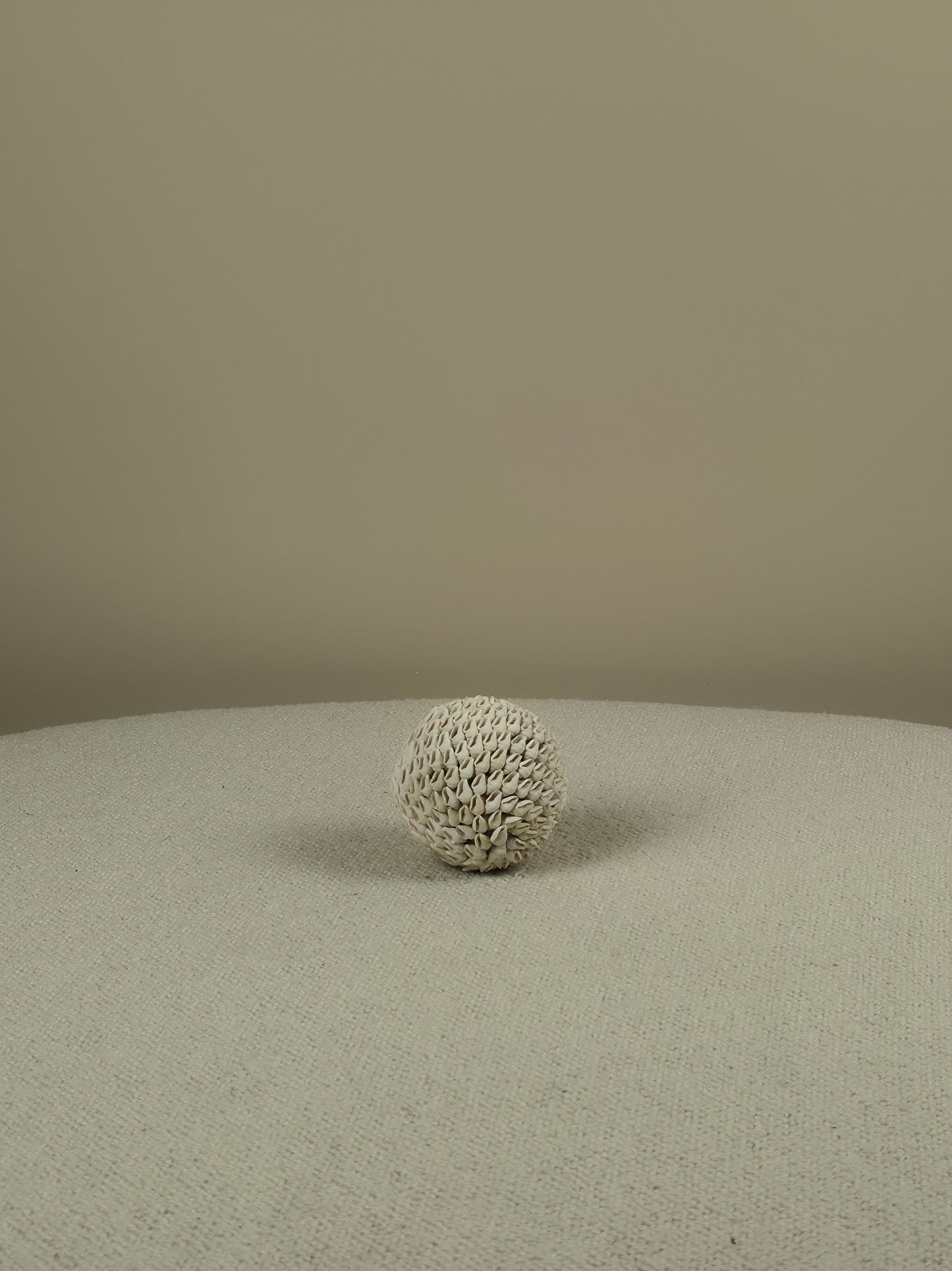 Decoratieve Schelpen Bal - Aiden
