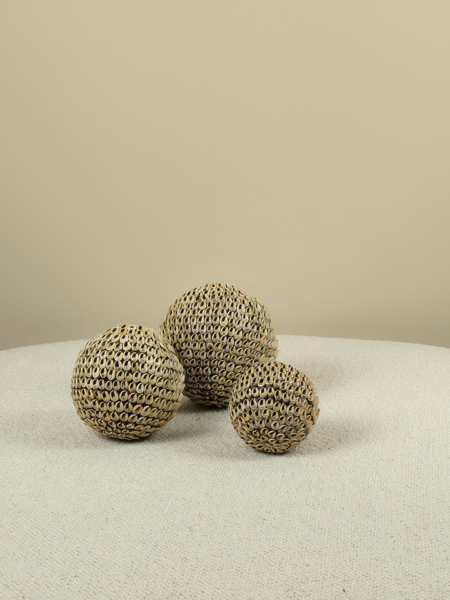 Decoratieve Schelpen Bal - Lucas