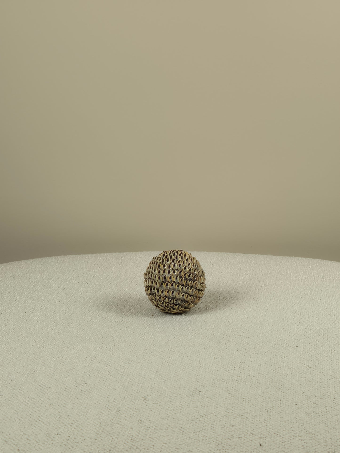 Decoratieve Schelpen Bal - Lucas