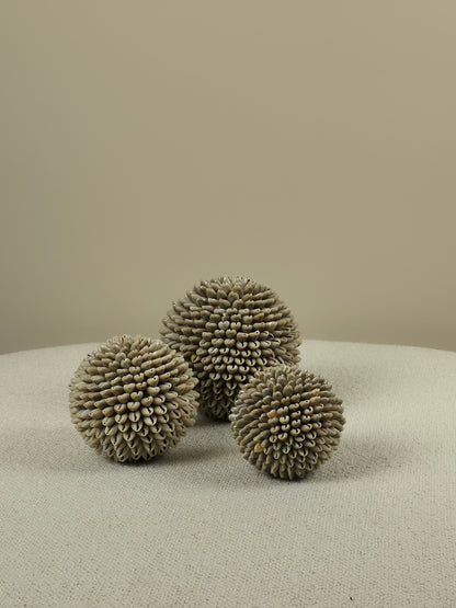 Decoratieve Schelpen Bal - Mae