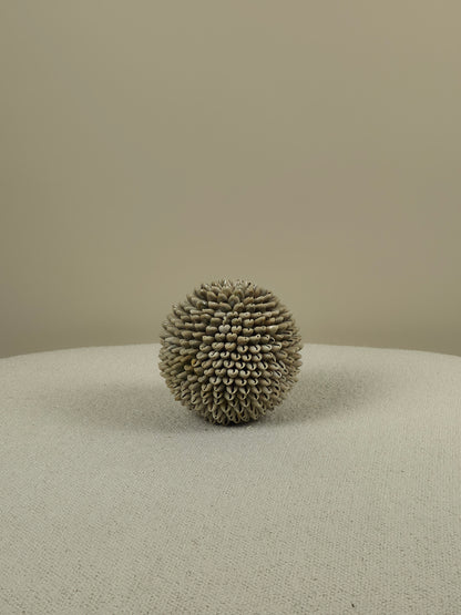 Decoratieve Schelpen Bal - Mae