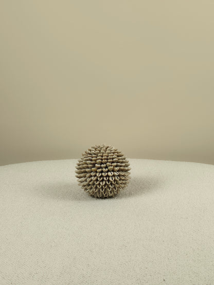 Decoratieve Schelpen Bal - Mae