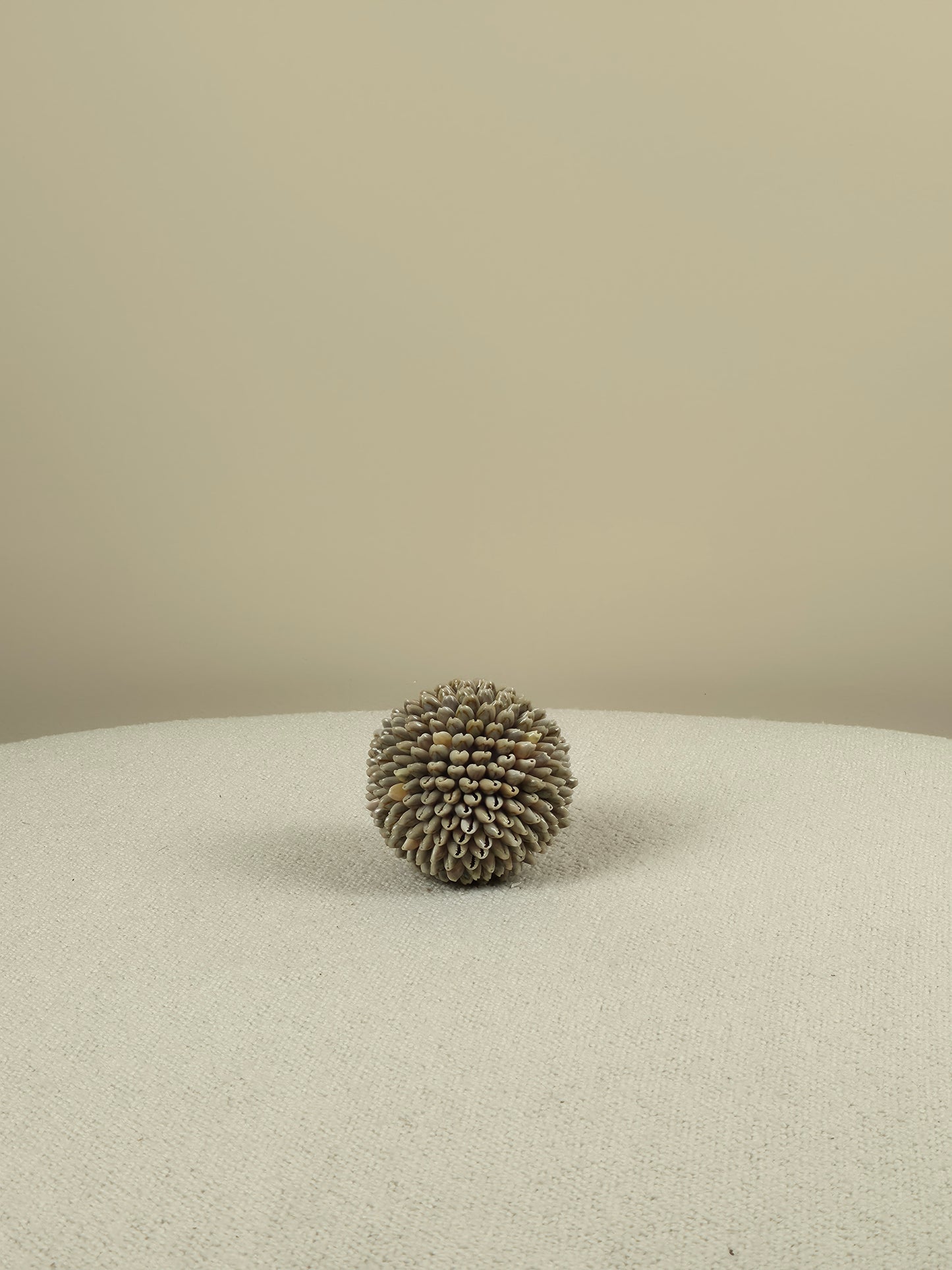 Decoratieve Schelpen Bal - Mae