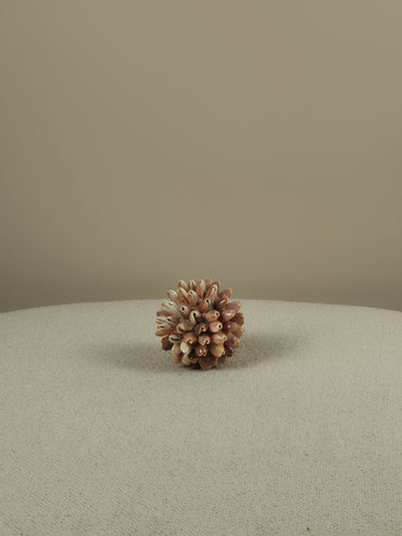 Decoratieve Schelpen Bal - Lynn