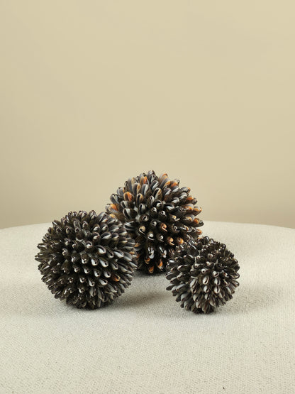 Decoratieve Schelpen Bal - Mocca