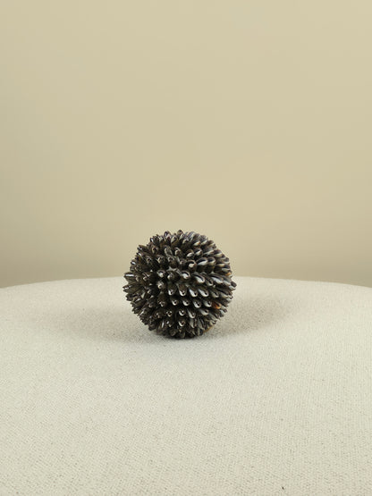 Decoratieve Schelpen Bal - Mocca